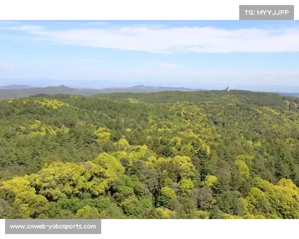 楚雄紫溪山扩建爬坡赛道,新增两个一级爬坡点 楚雄紫溪山扩建爬坡赛道,新增两个一级爬坡点